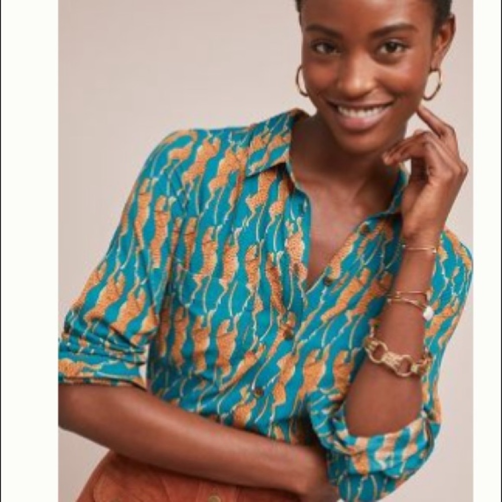 Maeve Whimsy Buttondown